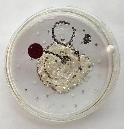 Pilar Pedroza, Orbital.