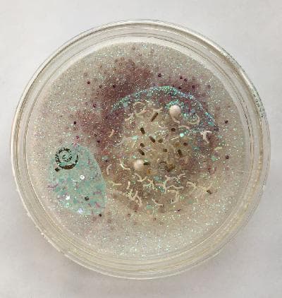 Pilar Pedroza. Caldo Marino. 