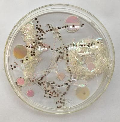 Pilar Pedroza. Desintegración.