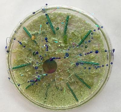 Pilar Pedroza. Repulsion electromagnética.