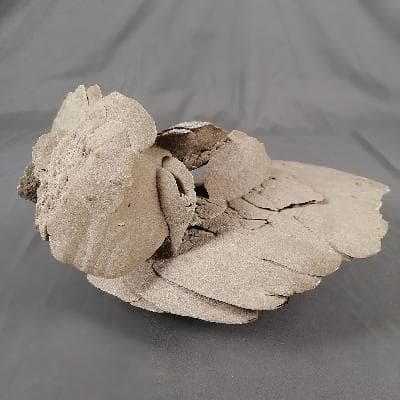 Rosa gypsum. Escultura de arena