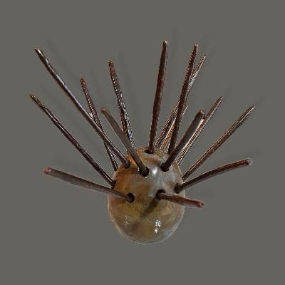 Erizo en cerámica de alta temperatura café